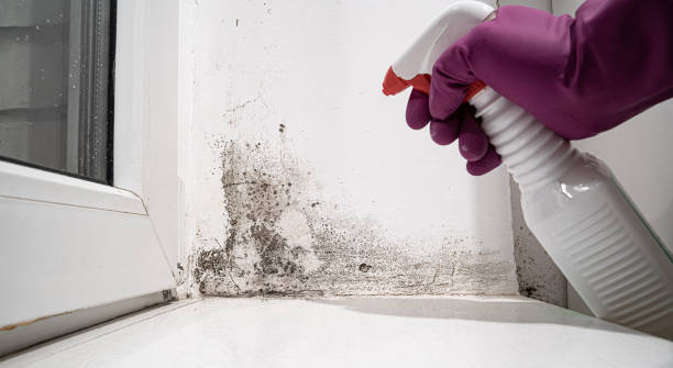 Trusted Mill Creek East, WA Water damage restoration Experts